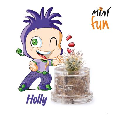 Minì Box Fun - Holly -- Mini pianta per gli audaci e gli ambiziosi