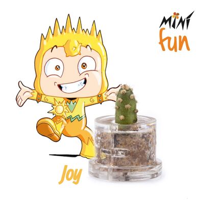 Minì Box Fun - Joy - Mini pianta per gli allegri e i vivaci