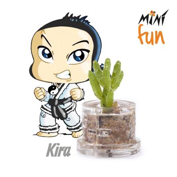 Mini Box Fun - Kira - Mini plante pour les courageux et les tenaces 1