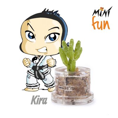 Mini Box Fun - Kira - Mini plante pour les courageux et les tenaces