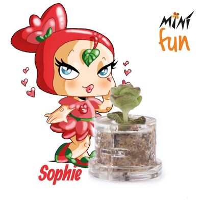 Minì Box Fun - Sophie - Mini plant for the capricious and the sensual