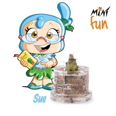 Mini Box Fun - Sue - Mini plante pour sages, couleur bleue