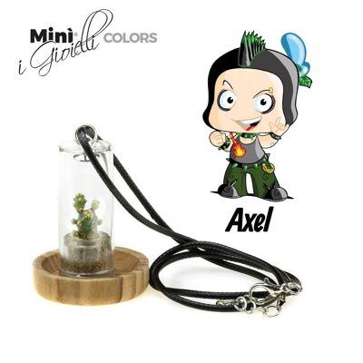 Minì Fun Gioielli Axel - Mini plant for the determined