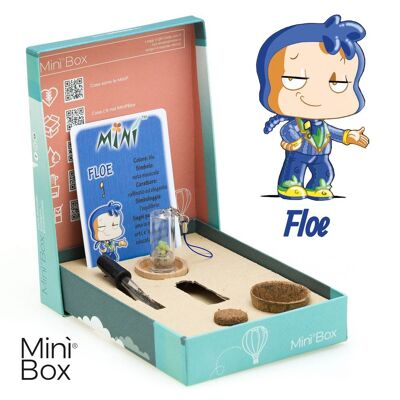Minì Box Fun Floe - Mini plants for the refined and elegant