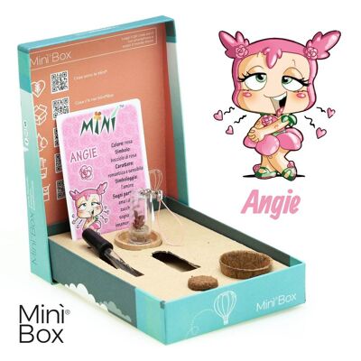 Minì Box Fun Angie - Mini planta para románticos y personas sensibles