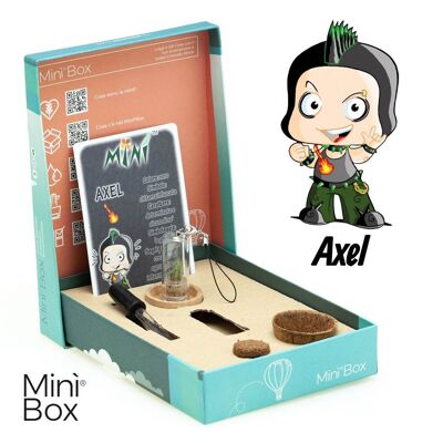 Minì Box Fun Axel - Mini planta para los decididos