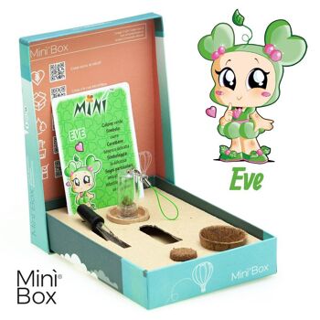 Mini Box Fun Eve - Mini plante pour les tendres et les délicats 1