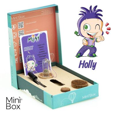 Mini Box Fun Holly - Mini plante pour les audacieux et les ambitieux