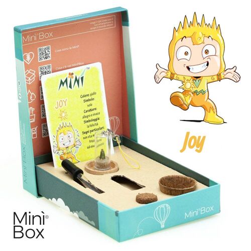 Min Box Fun Joy - Mini pianta per gli allegri e i vivaci