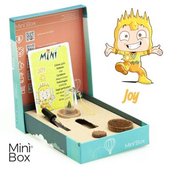 Min Box Fun Joy - Mini plante pour les joyeux et vifs 1