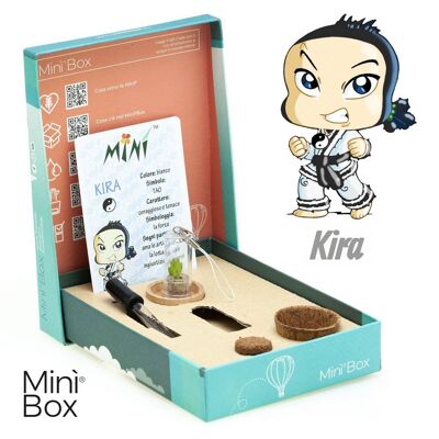 Minì Box Fun Kira - Mini pianta per i coraggiosi e i tenaci