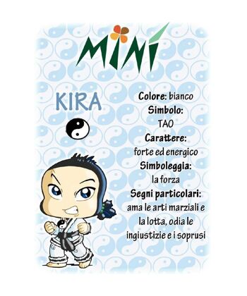 Minì Box Fun Kira - Mini plante pour les courageux et les tenaces 2