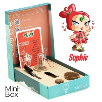 Minì Box Fun Sophie - Mini plante pour les fantasques 1