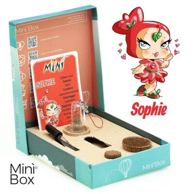 Minì Box Fun Sophie - Mini plant for the whimsical