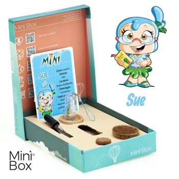 Mini Box Fun Sue - Mini plante pour les sages 1