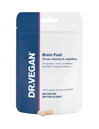Brain FuelMC 1