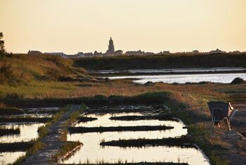 Lot de Sel fin de Guérande aromatisé aux Herbes 5