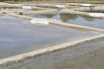 Lot de Sel fin de Guérande aromatisé aux Herbes 6