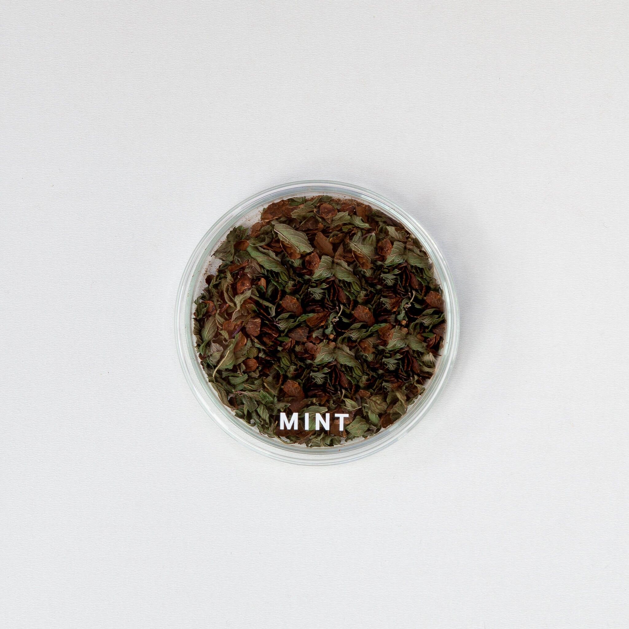 Kakaoschalentee [Minze] - Für Präsentationszwecke