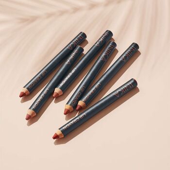 INIKA Crayon à Lèvres Bio Certifié - Rose Nude 3g 3