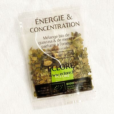 Guayusa organic Energy & Concentration - 40 individual enveloped compostable sachets