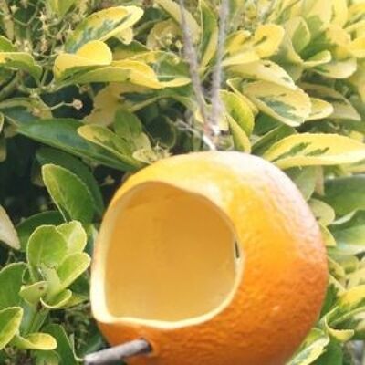 A Orange Birdfeeder Pod