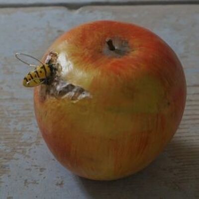 Una manzana de alfarería con avispa con alas plateadas