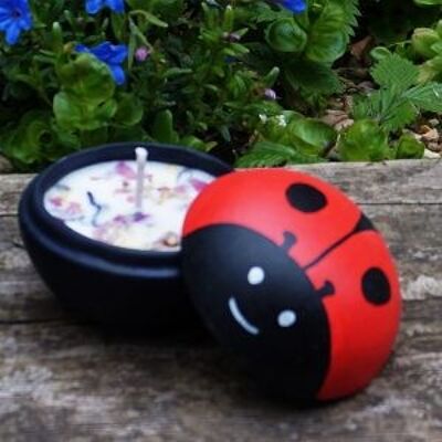 A Dal nostro vaso per candele Coccinella da giardino