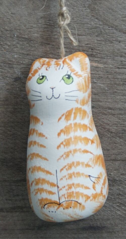 Trendy Cat Lightpull - Ginger Tabby