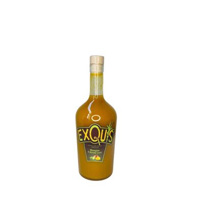 EXQUIS PUNCH - Mango Lime-Lime