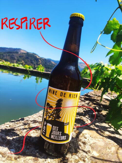 Mine de rien " des jours meilleurs" / Ale / Bière blonde aux rameaux de pin