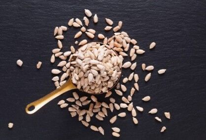 Semi di Girasole Biologici EPV Dalla Francia - 250g - HECOSFAIR