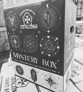 ❓ Coffret Mystery Box Brasserie Mage Malte 24 bouteilles ❓ 2