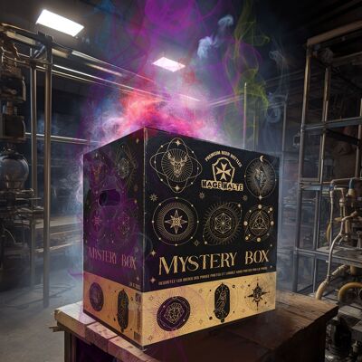 ❓ Coffret Mystery Box Brasserie Mage Malte 24 bouteilles ❓