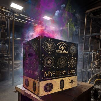 ❓ Coffret Mystery Box Brasserie Mage Malte 24 bouteilles ❓ 1