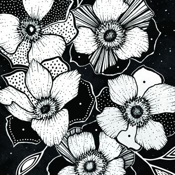 Affiche de Fleur Anémones dans la Nuit - Celestial Flower Poster Print 3