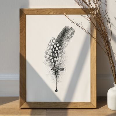 Feather Poster 2 - Feather Poster Print