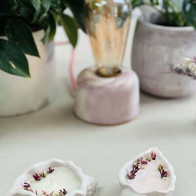 Vela de soja aromática de flores secas de Jesmonite | Concha de diseño costero