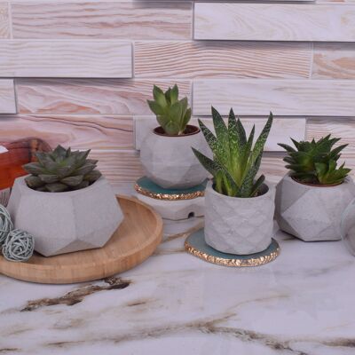 Set di base - 5 x 5 pezzi. Piccolo vaso per piante in cemento incastonato in grigio