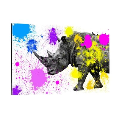 Safari Colors Pop - Rhino - impresión de plexiglás