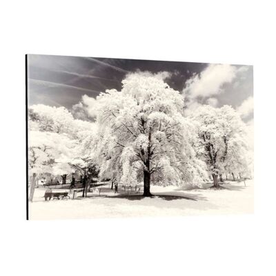 Paris Winter White - Arbres - Tableau Plexiglas