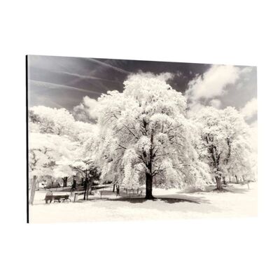 Paris Winter White - Trees - Plexiglasbild