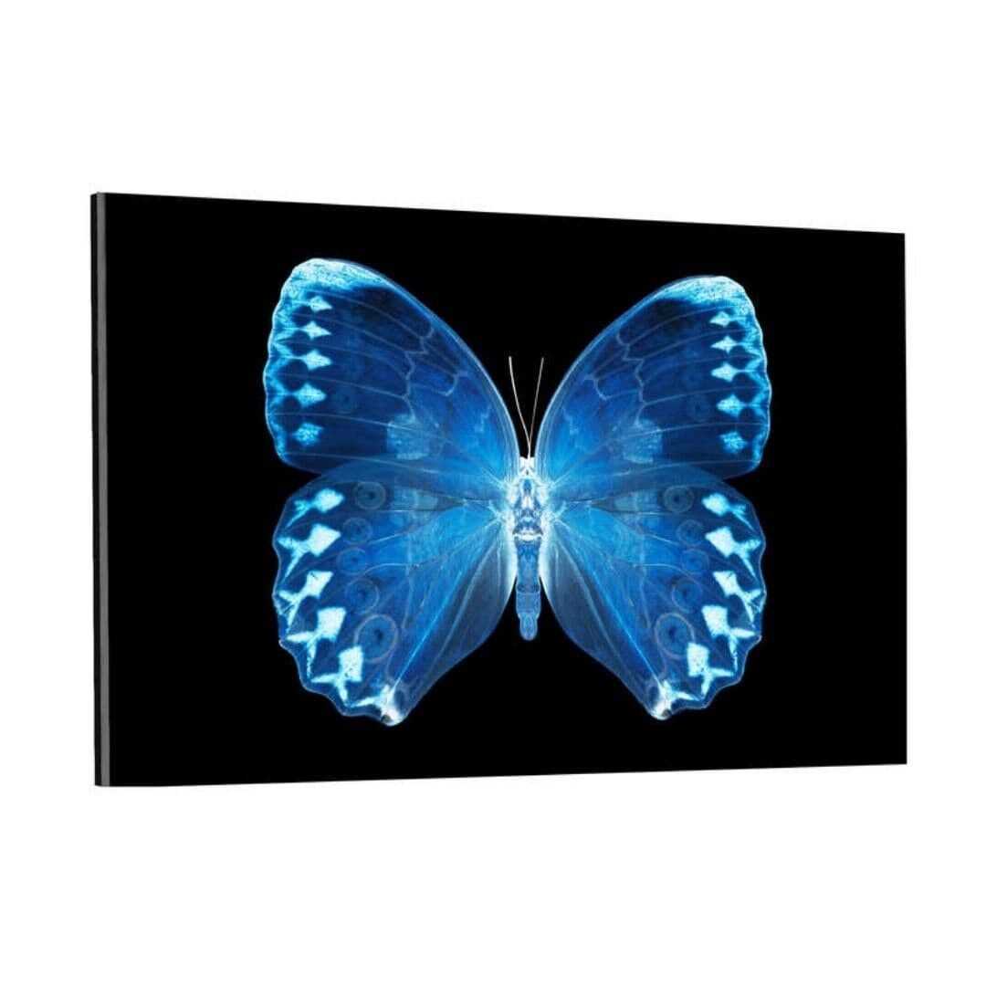 MISS BUTTERFLY FORMOSANA - Plexiglasbild