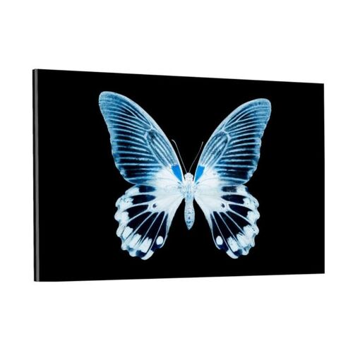 MISS BUTTERFLY AGENOR II - Plexiglasbild