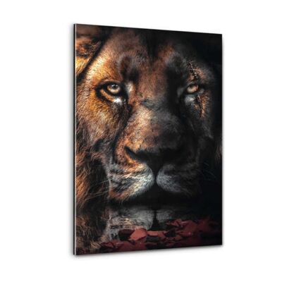Cicatrice de lion - image en plexiglas