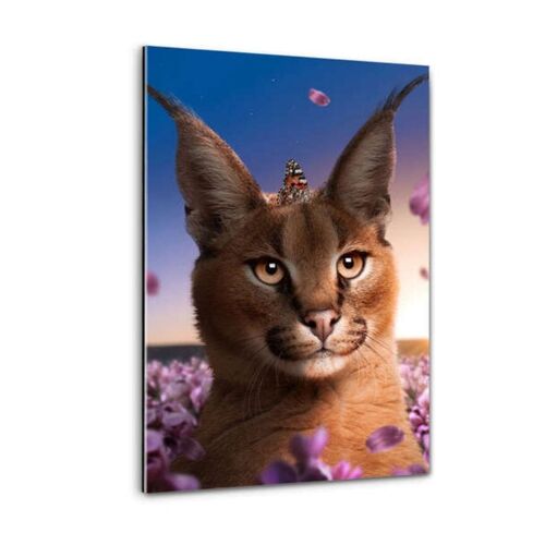 Caracal Flowers - Plexiglasbild