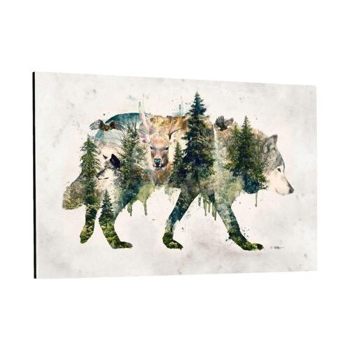 Wolf World - Plexiglasbild