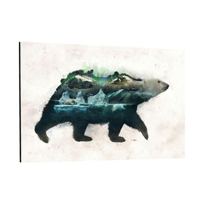 Polarbear World - imagen de plexiglás