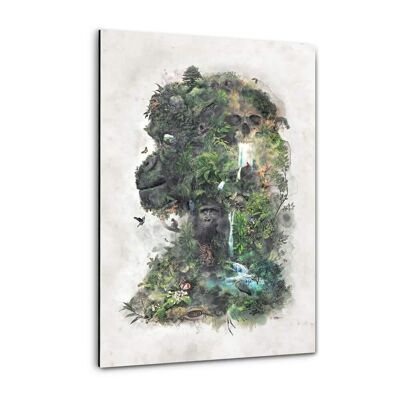 Gorilla della giungla - foto in plexiglass