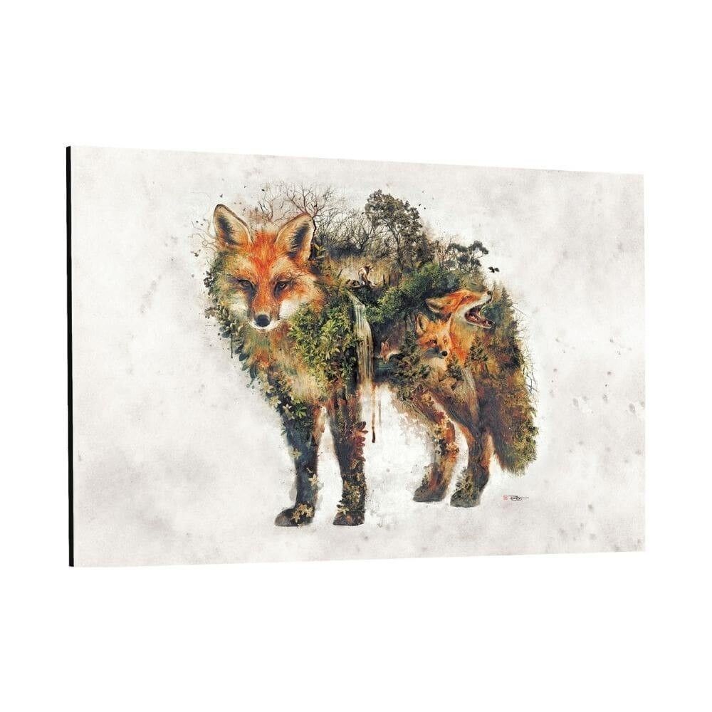 Fox World - immagine in plexiglass